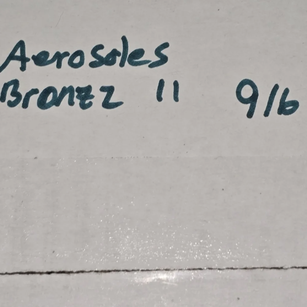 AEROSOLES step into